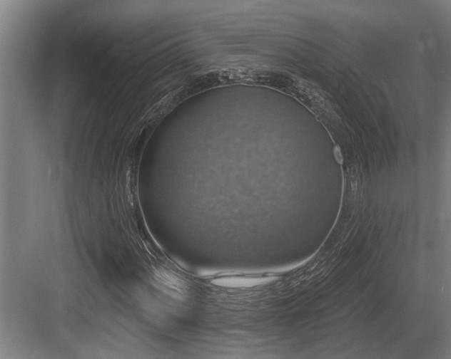X0000083651060200702121144