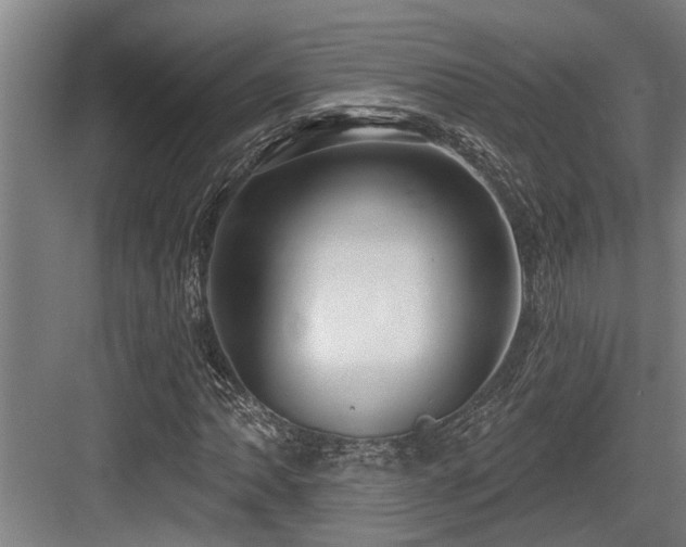 X0000083651062200702121144