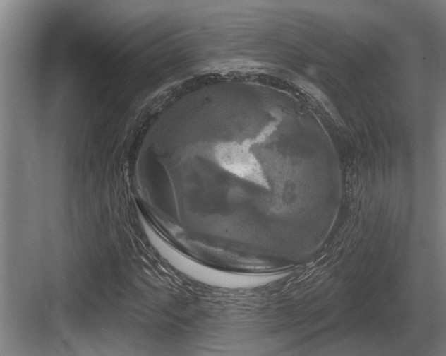 X0000083651063200702121144