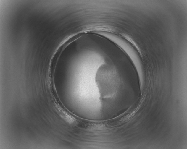 X0000083651071200702121144