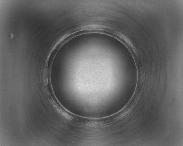 X0000083651075200702121144