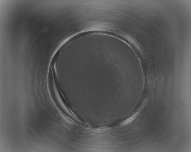 X0000083651077200702121144