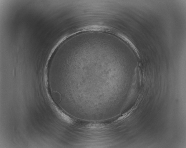 X0000083651083200702121144