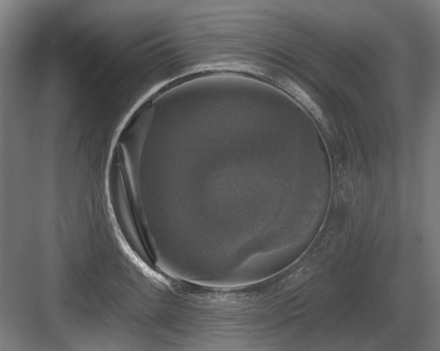 X0000083651084200702121144