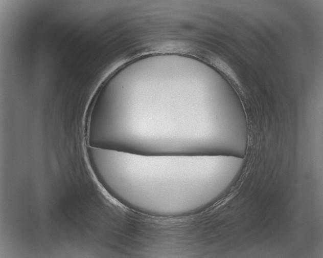 X0000083651087200702121144