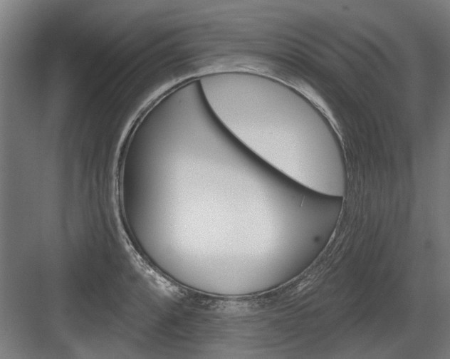 X0000083651088200702121144