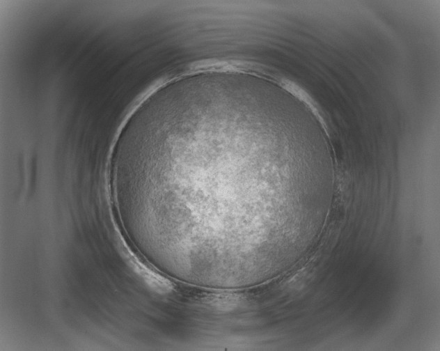 X0000083651090200702121144