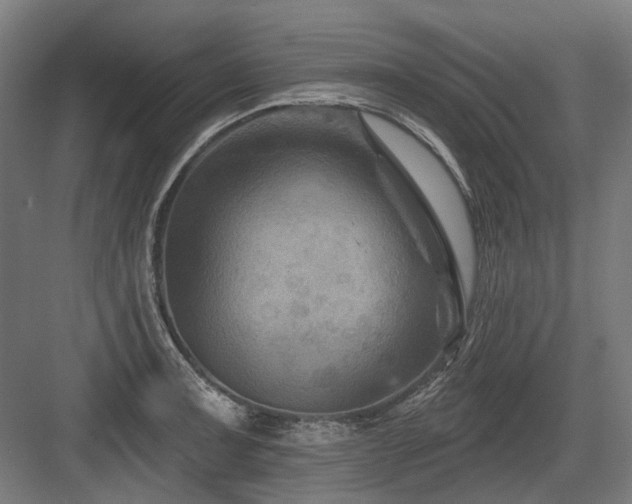 X0000083651091200702121144
