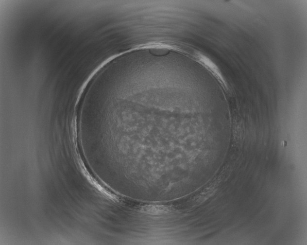 X0000083651092200702121144