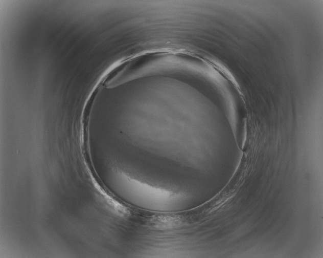 X0000083651095200702121143