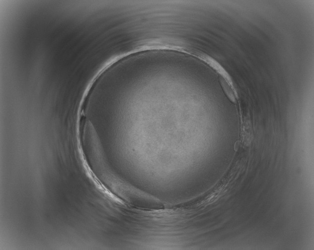 X0000083651096200702121143