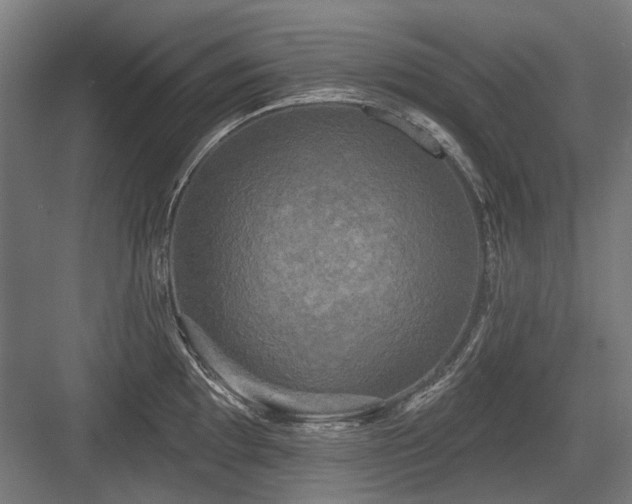 X0000083651097200702121143