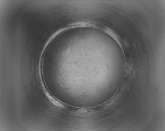 X0000083651098200702121143