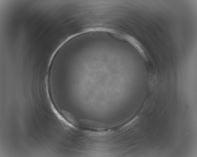 X0000083651100200702121143
