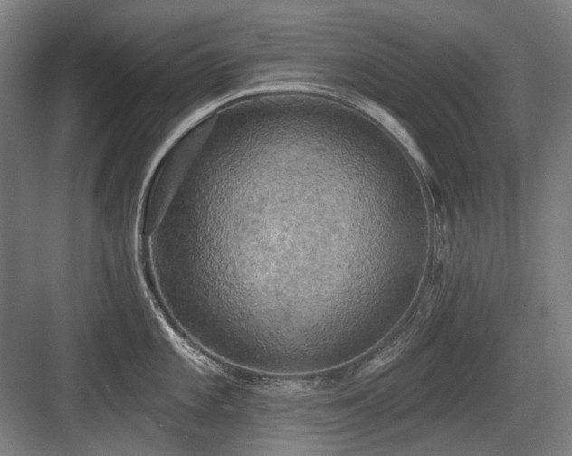 X0000083651101200702121143