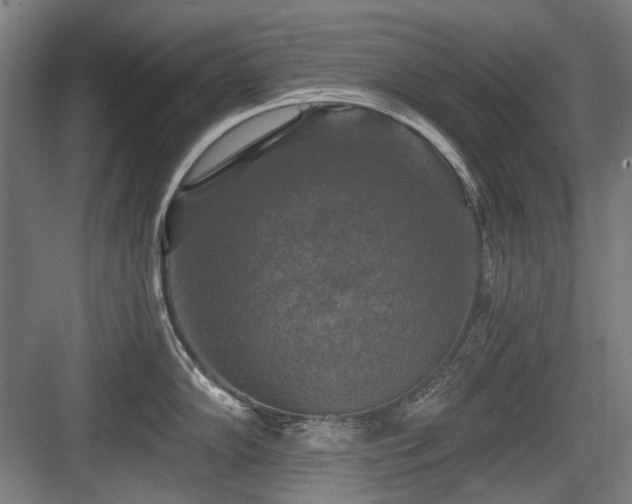 X0000083651102200702121143