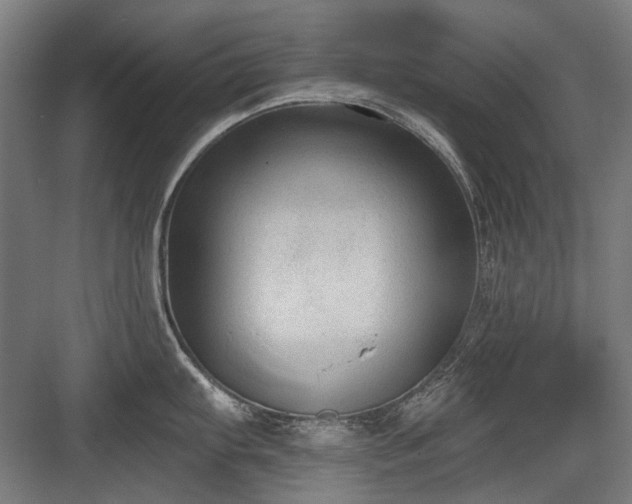 X0000083651103200702121143