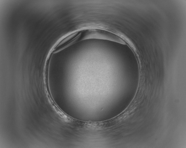 X0000083651104200702121143