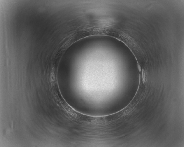 X0000083651107200702121143