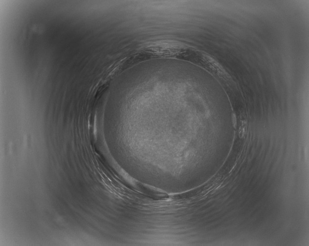 X0000083651108200702121143