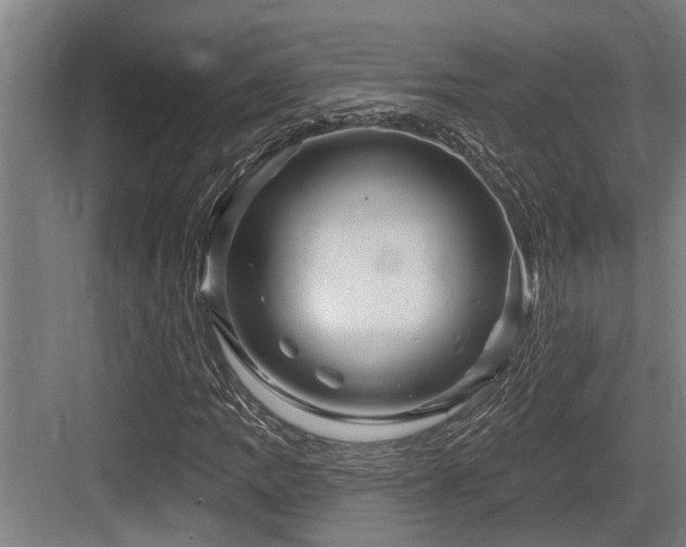 X0000083651109200702121143