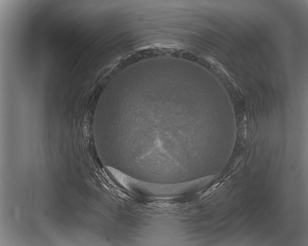 X0000083651110200702121143