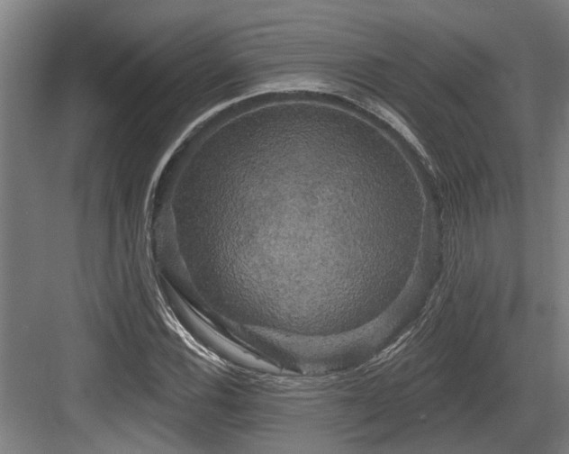 X0000083651116200702121143