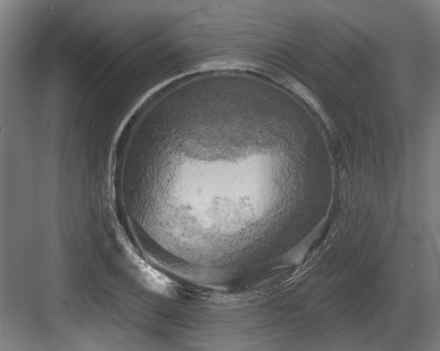 X0000083651124200702121143
