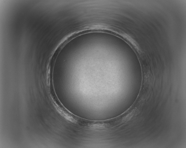 X0000083651126200702121143