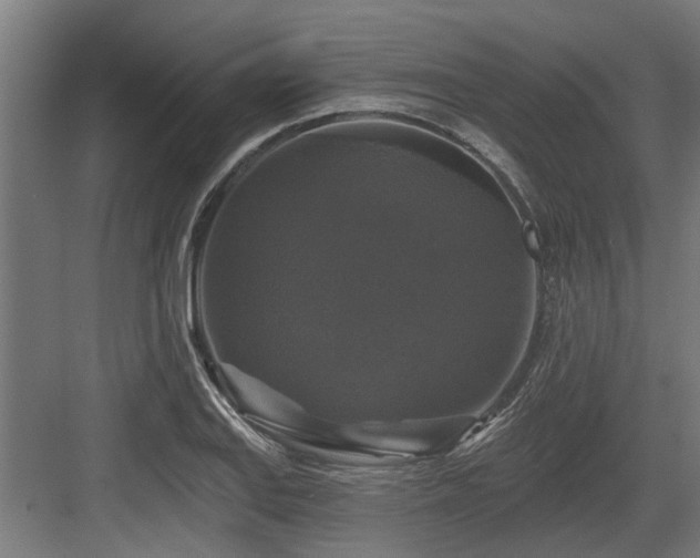 X0000083651127200702121143