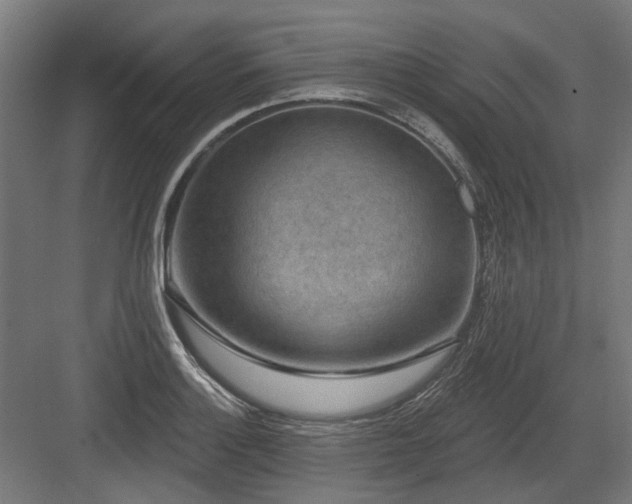 X0000083651132200702121143