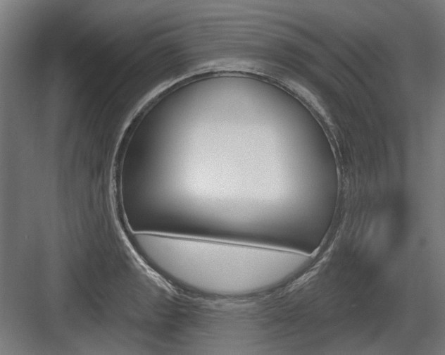 X0000083651133200702121143