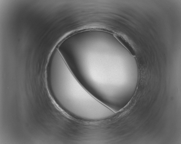 X0000083651134200702121143