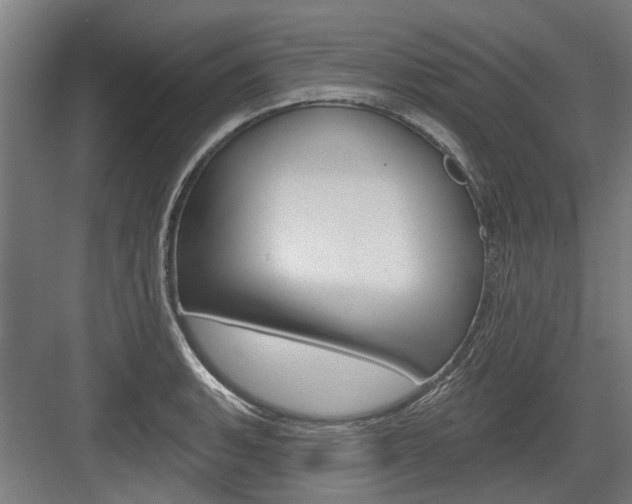 X0000083651135200702121143