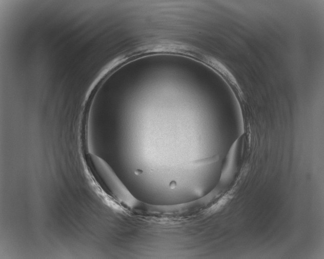 X0000083651138200702121143
