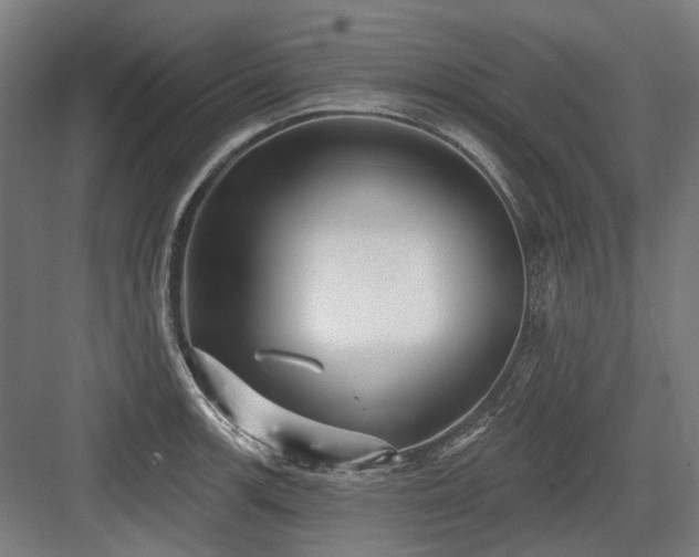 X0000083651139200702121143