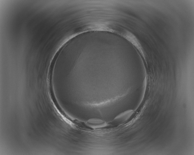 X0000083651141200702121143