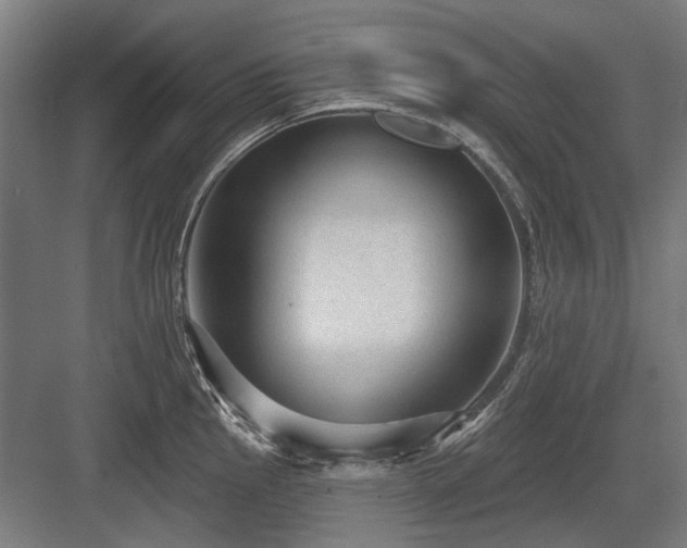 X0000083651145200702121143
