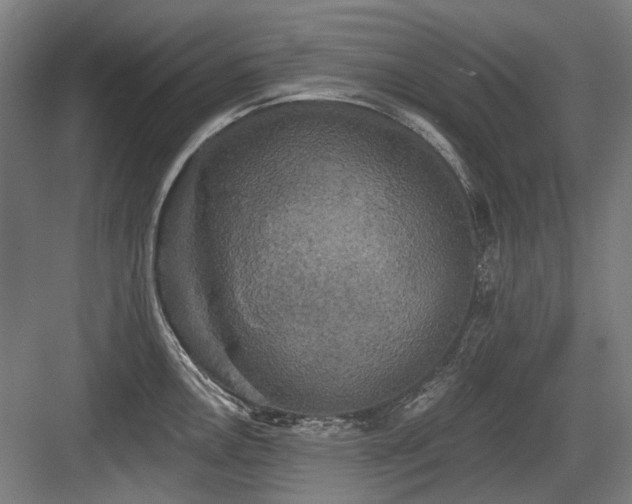 X0000083651146200702121143