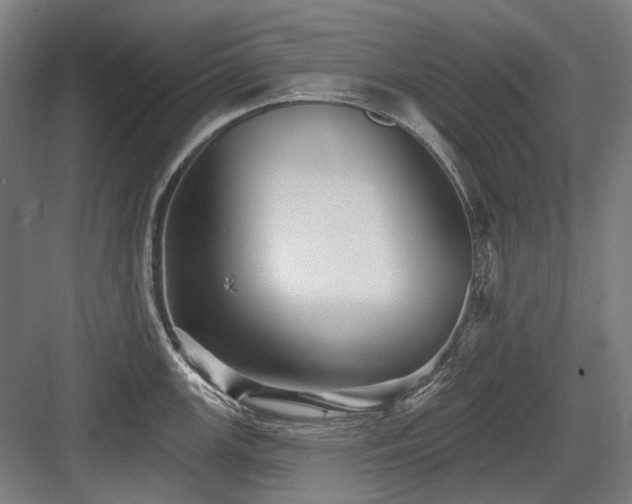 X0000083651147200702121143