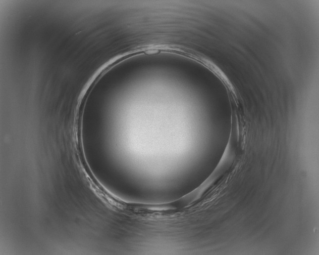 X0000083651148200702121143
