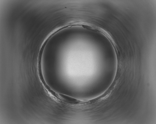 X0000083651149200702121143