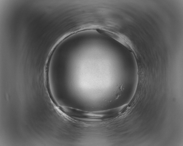 X0000083651151200702121143