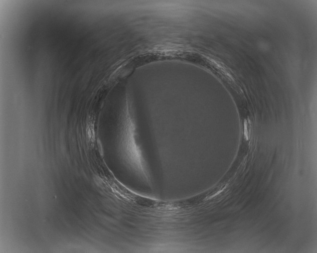 X0000083651155200702121142