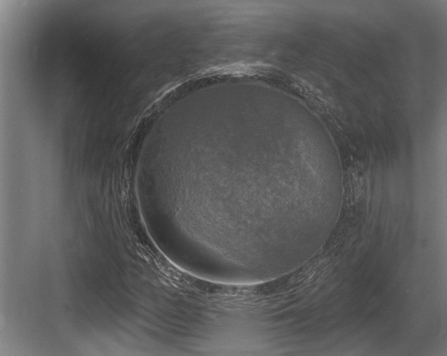 X0000083651158200702121142