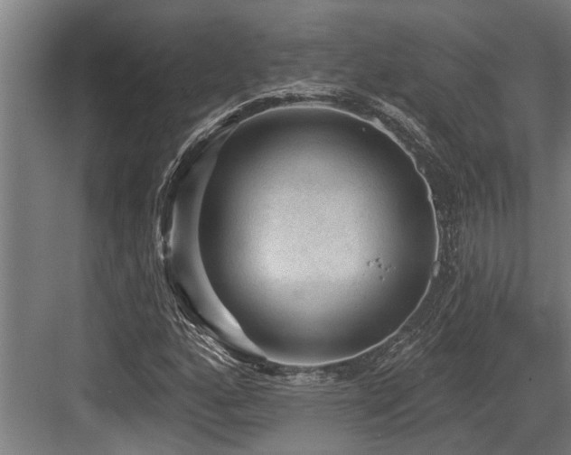 X0000083651160200702121142