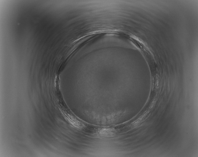 X0000083651161200702121142