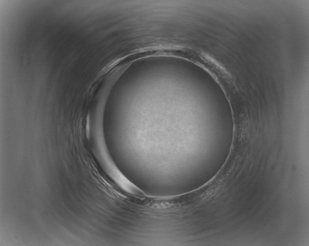 X0000083651169200702121142
