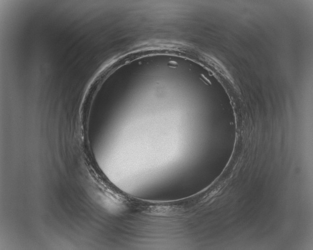 X0000083651172200702121142