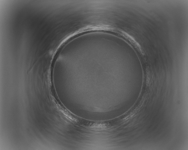 X0000083651174200702121142